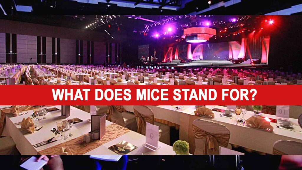 What does MICE Stand for?